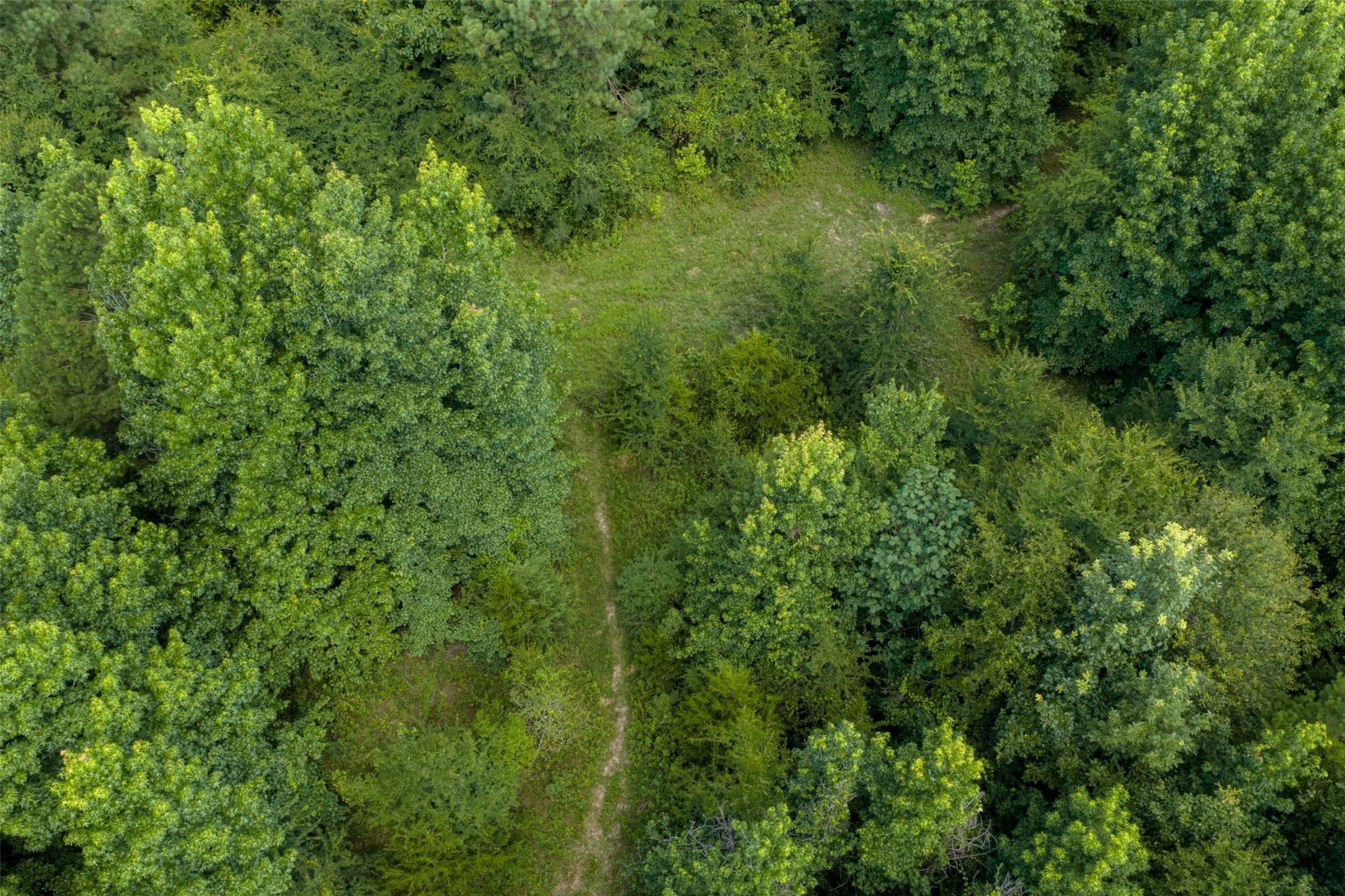 19.97 acres in Panola County - photo 27