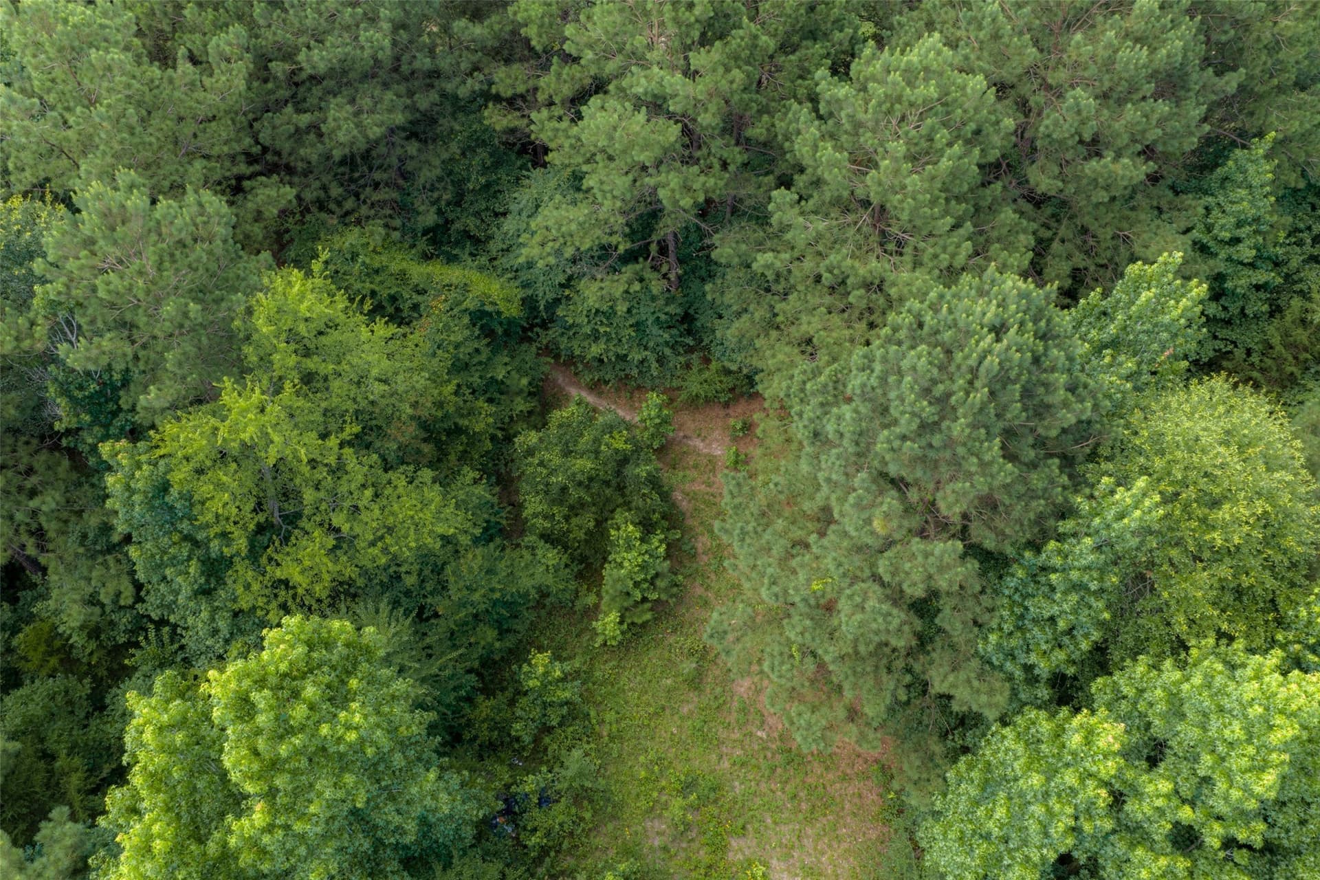 19.97 acres in Panola County - photo 19