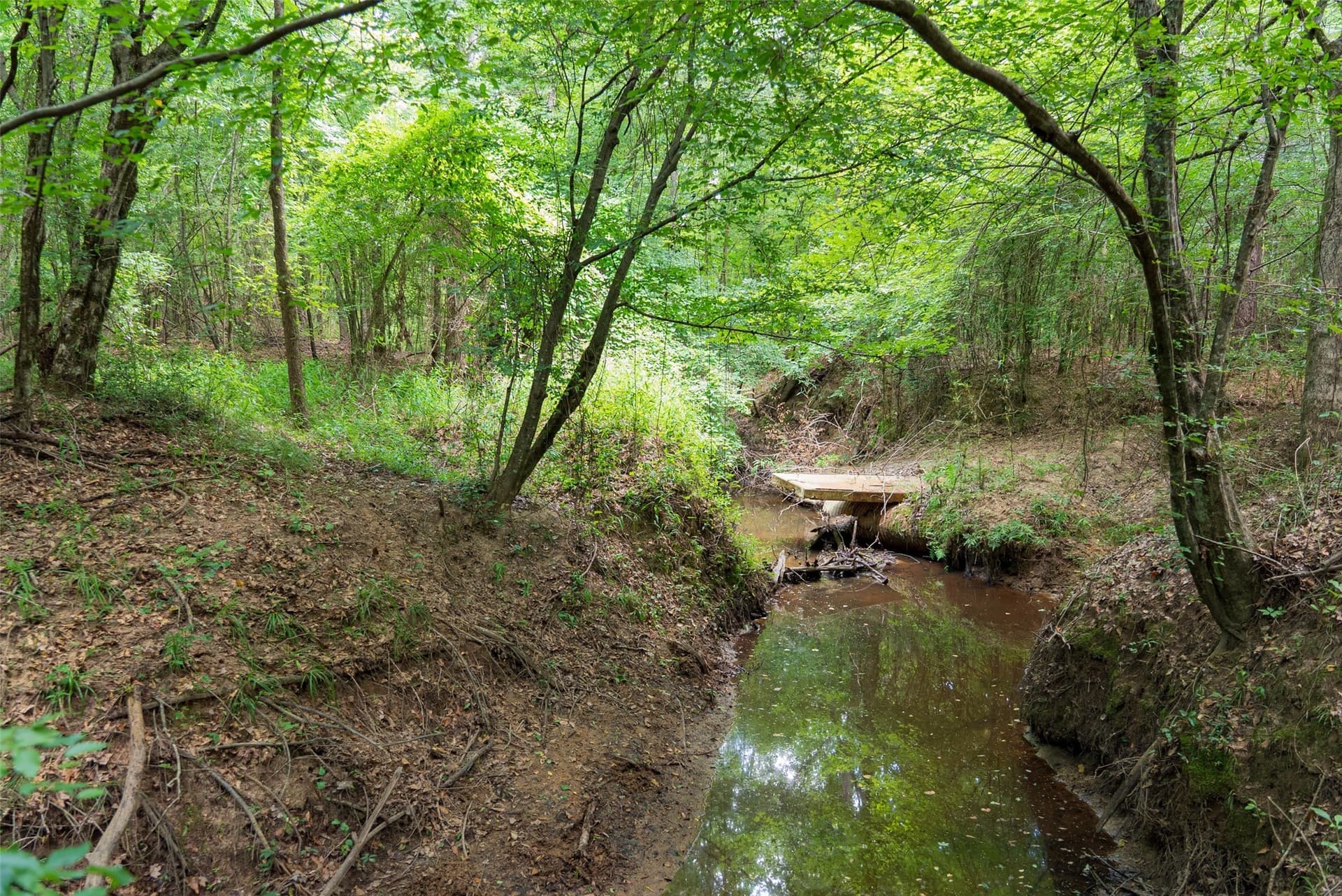 19.97 acres in Panola County - photo 9
