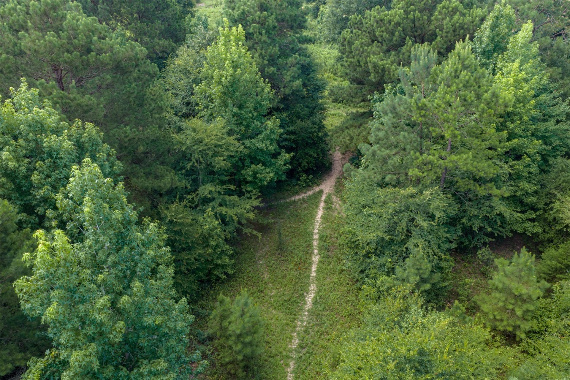 19.97 acres in Panola County - photo 2