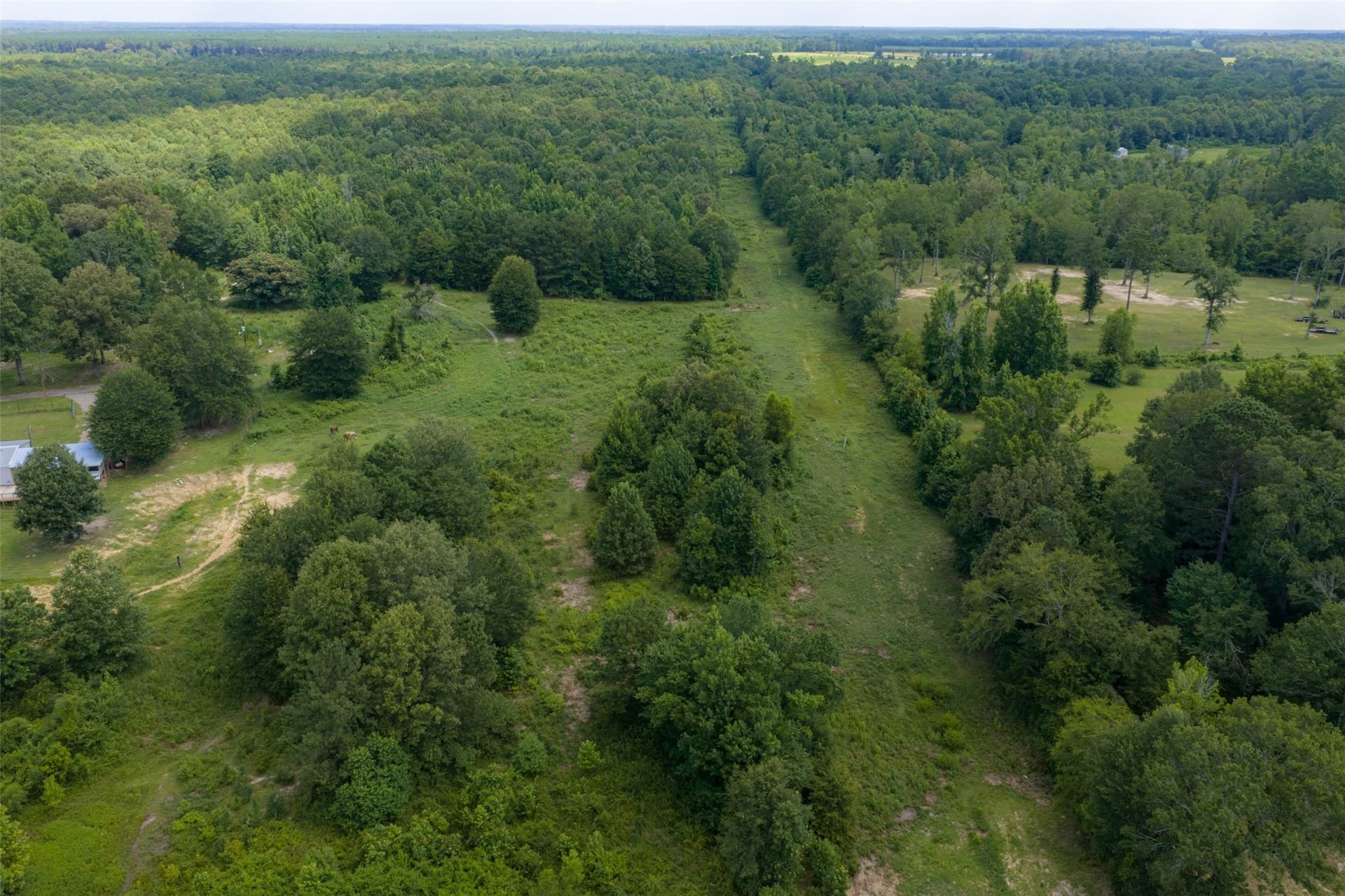 19.97 acres in Panola County - photo 3