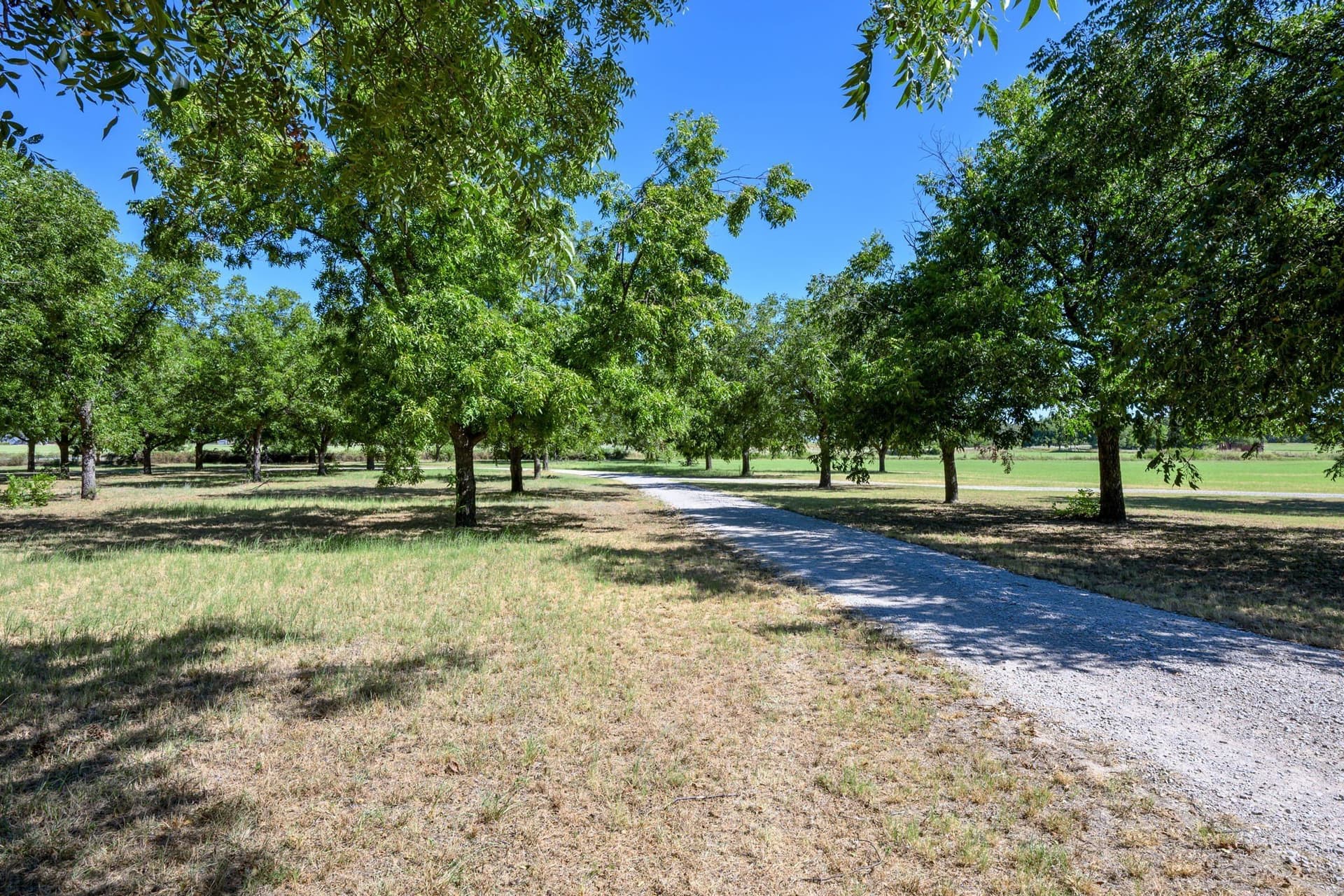 17.42 acres in Comanche County - photo 7