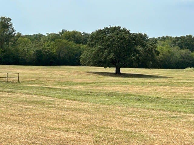 175 acres in Hopkins County - photo 5