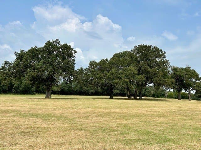 175 acres in Hopkins County - photo 17