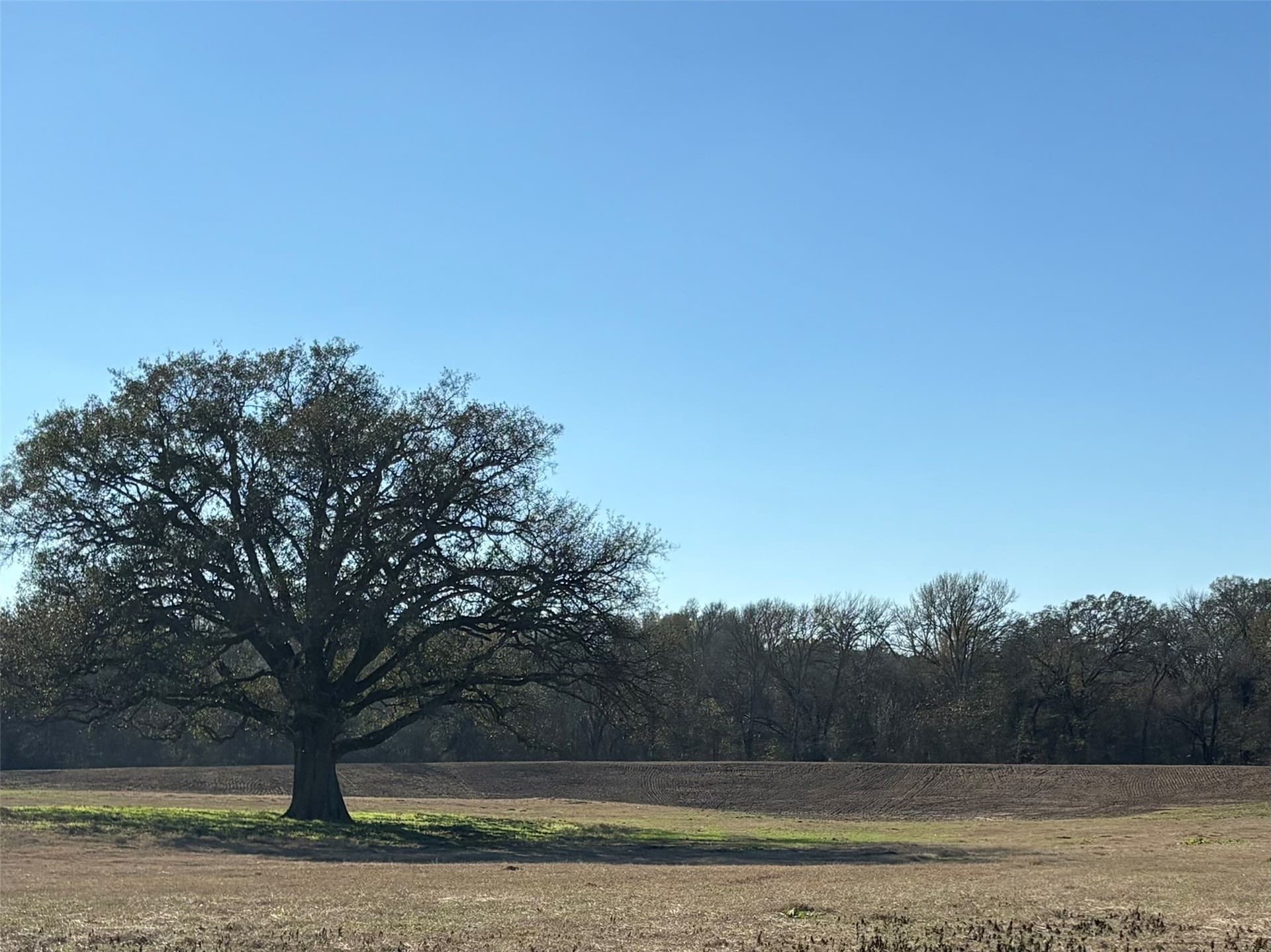 175 acres in Hopkins County - photo 26