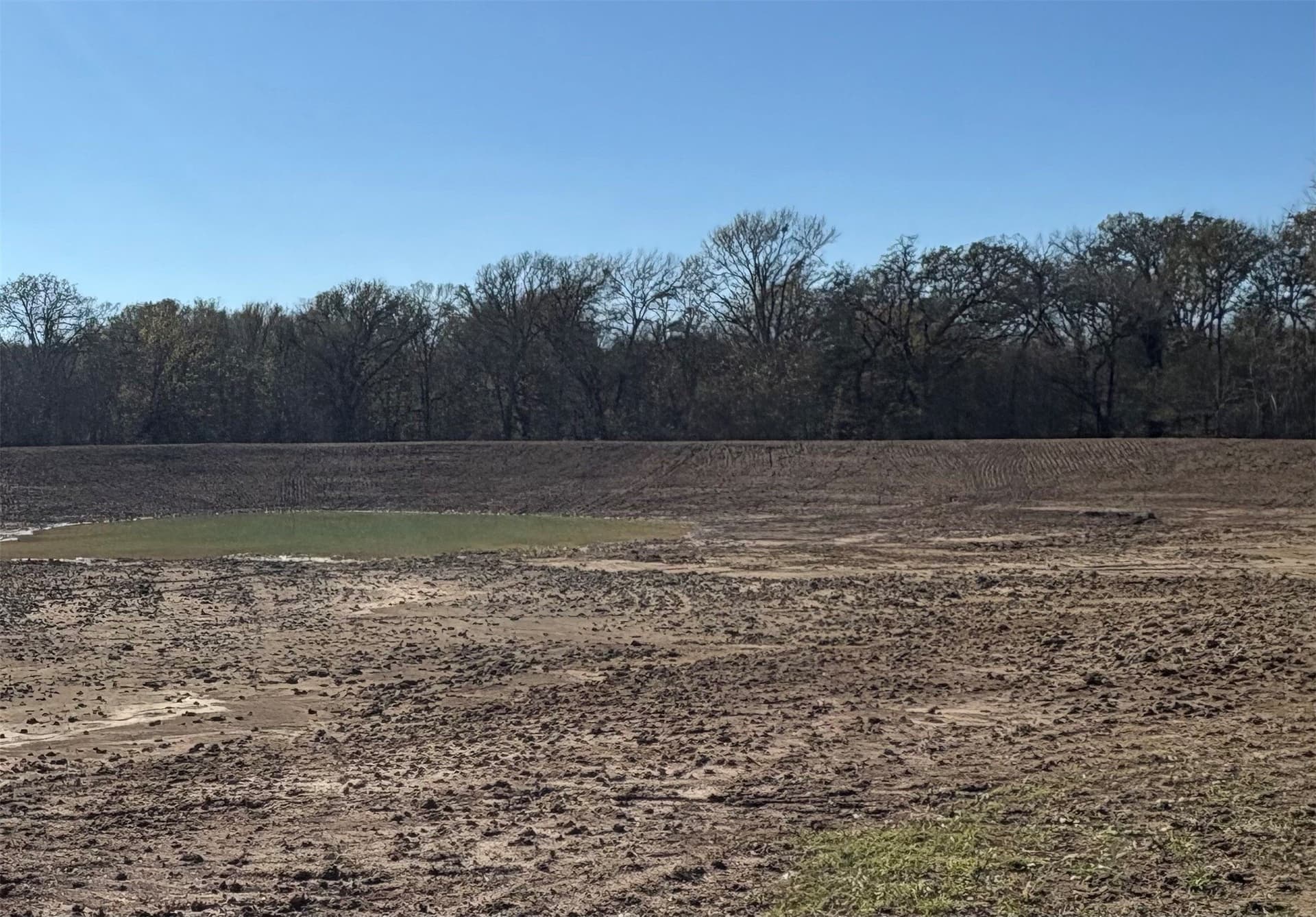 175 acres in Hopkins County - photo 33