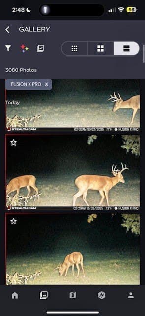 175 acres in Hopkins County - photo 36
