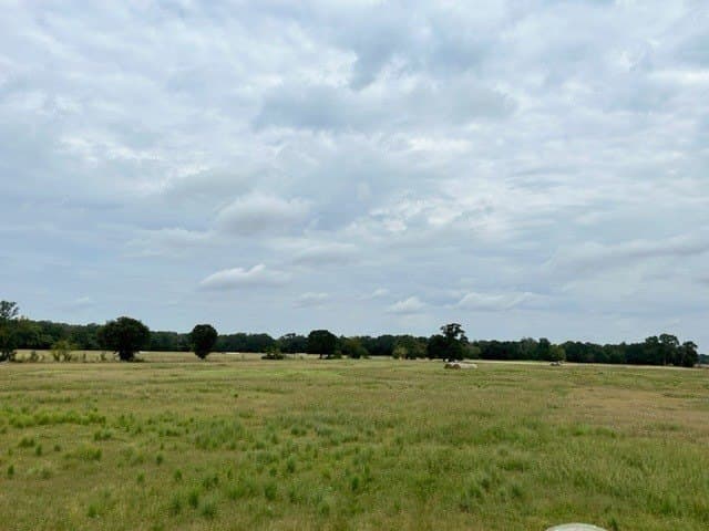 175 acres in Hopkins County - photo 20