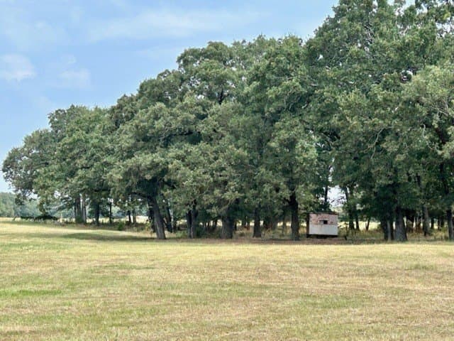 175 acres in Hopkins County - photo 18