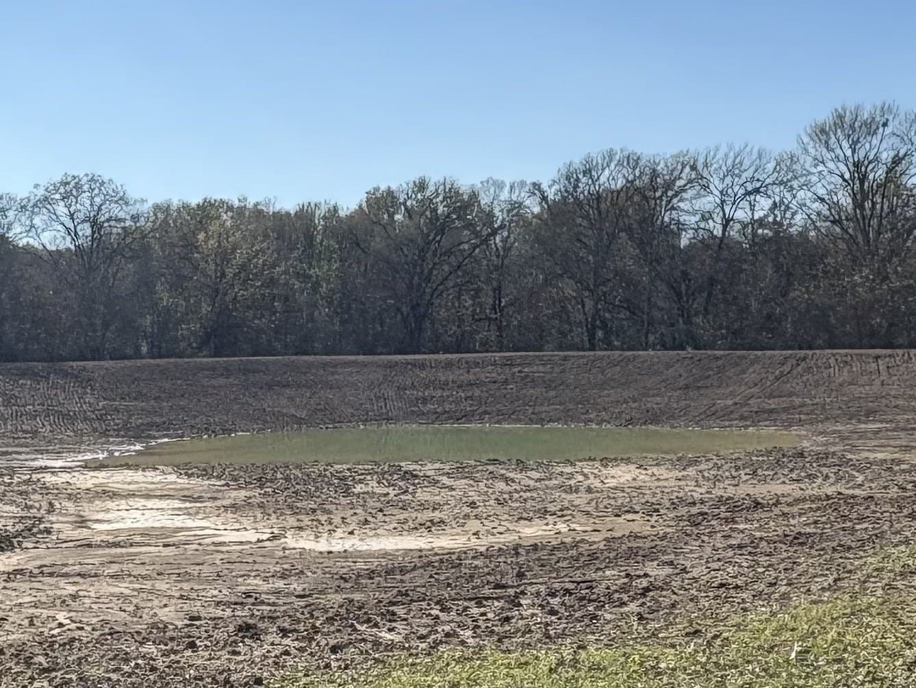 175 acres in Hopkins County - photo 34