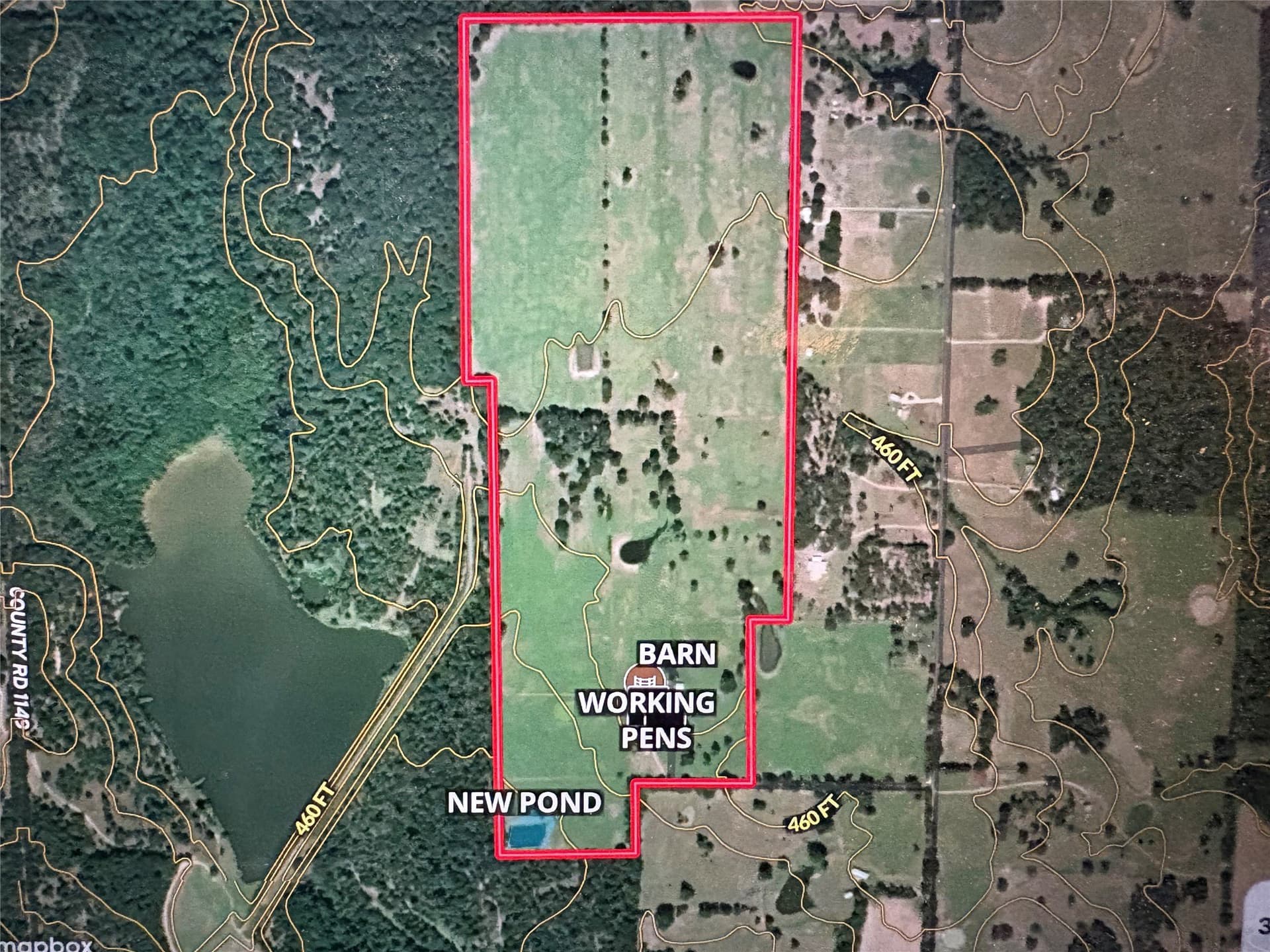 175 acres in Hopkins County - photo 39