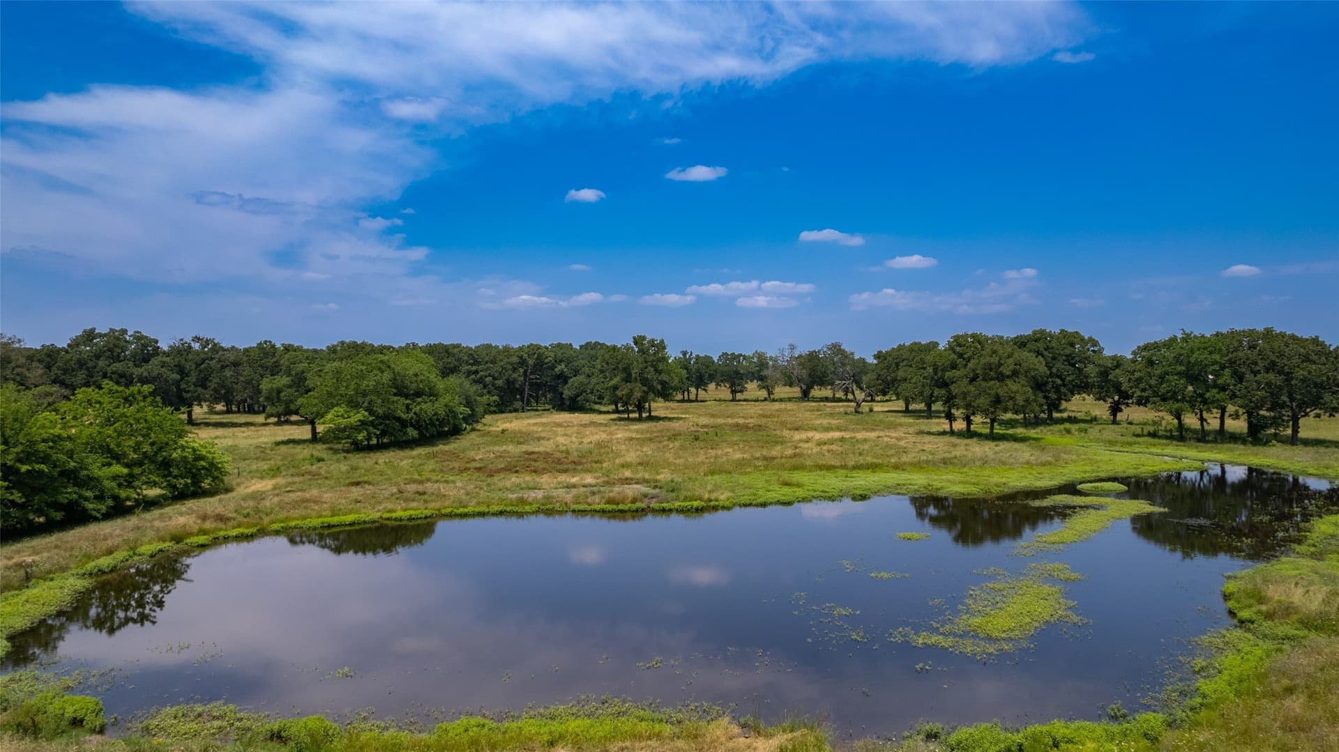 175 acres in Hopkins County