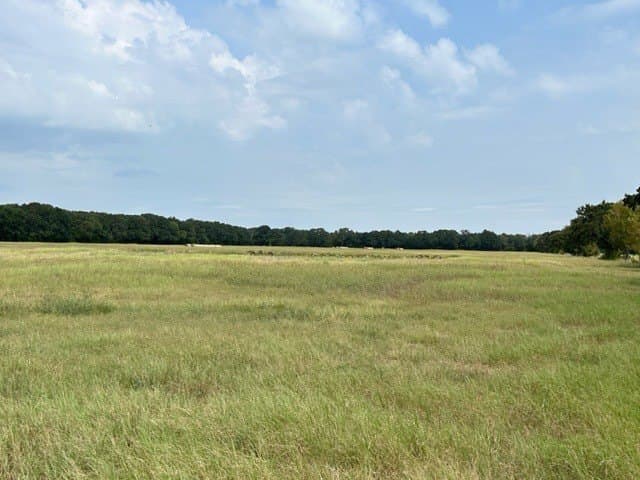 175 acres in Hopkins County - photo 21