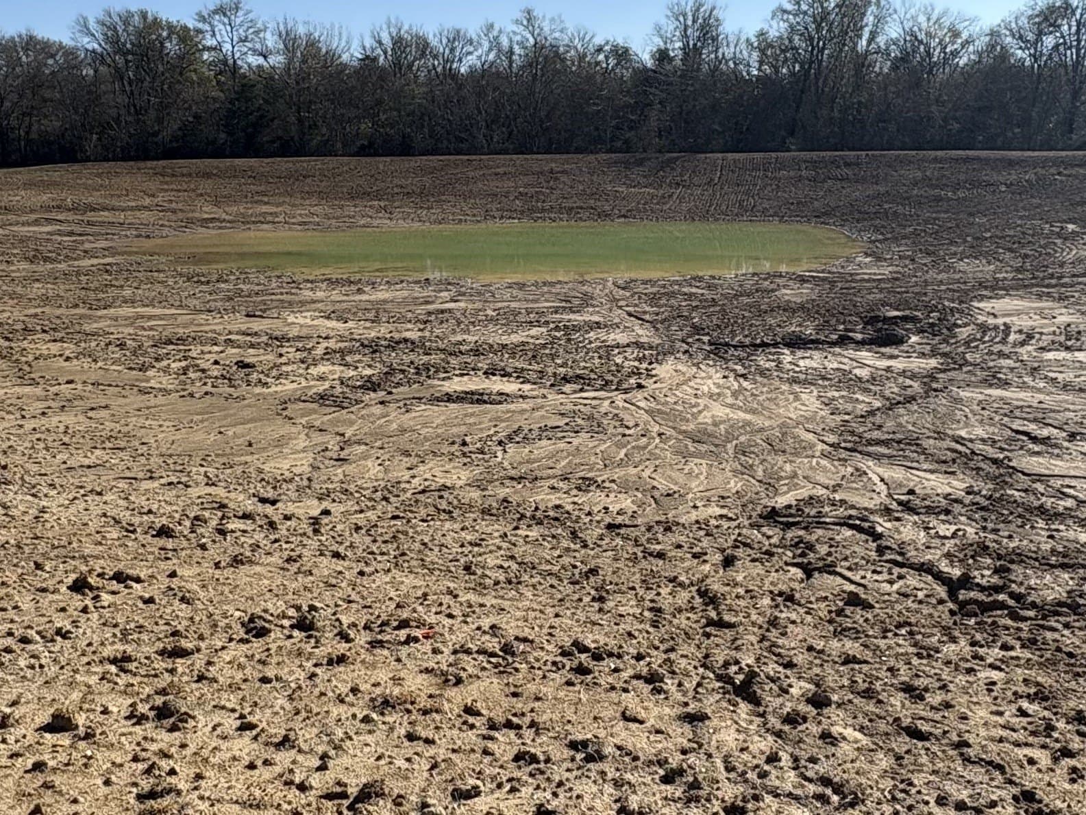 175 acres in Hopkins County - photo 28