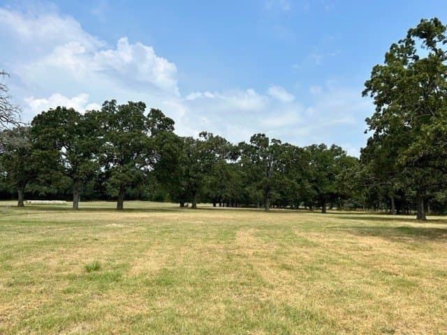175 acres in Hopkins County - photo 6