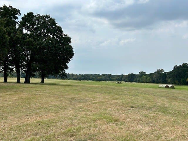 175 acres in Hopkins County - photo 16