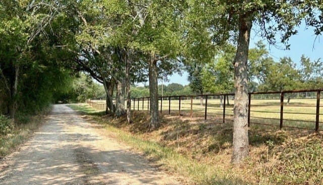 175 acres in Hopkins County - photo 8