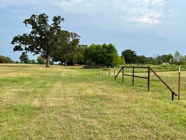 175 acres in Hopkins County - photo 12