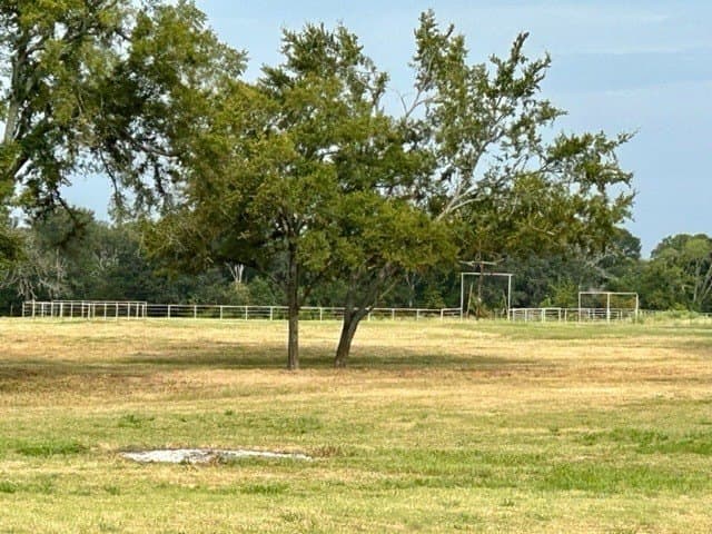 175 acres in Hopkins County - photo 22