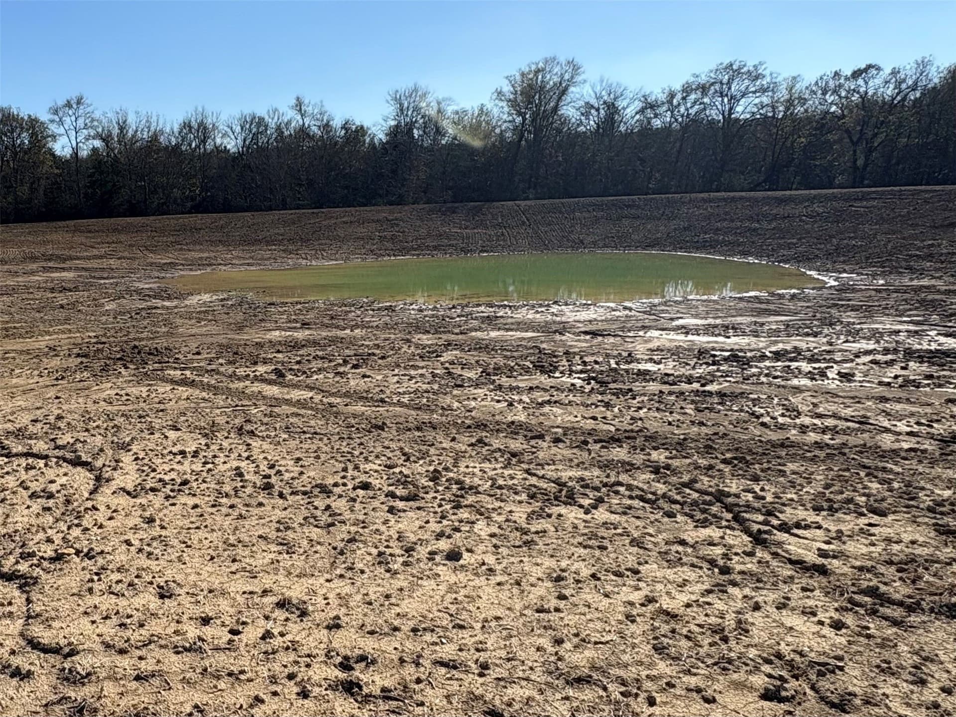 175 acres in Hopkins County - photo 29