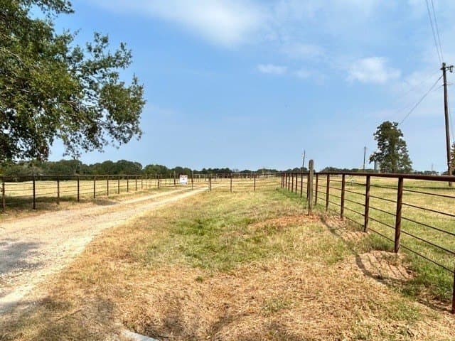 175 acres in Hopkins County - photo 9