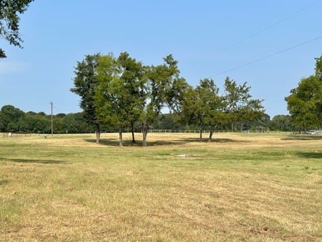 175 acres in Hopkins County - photo 4