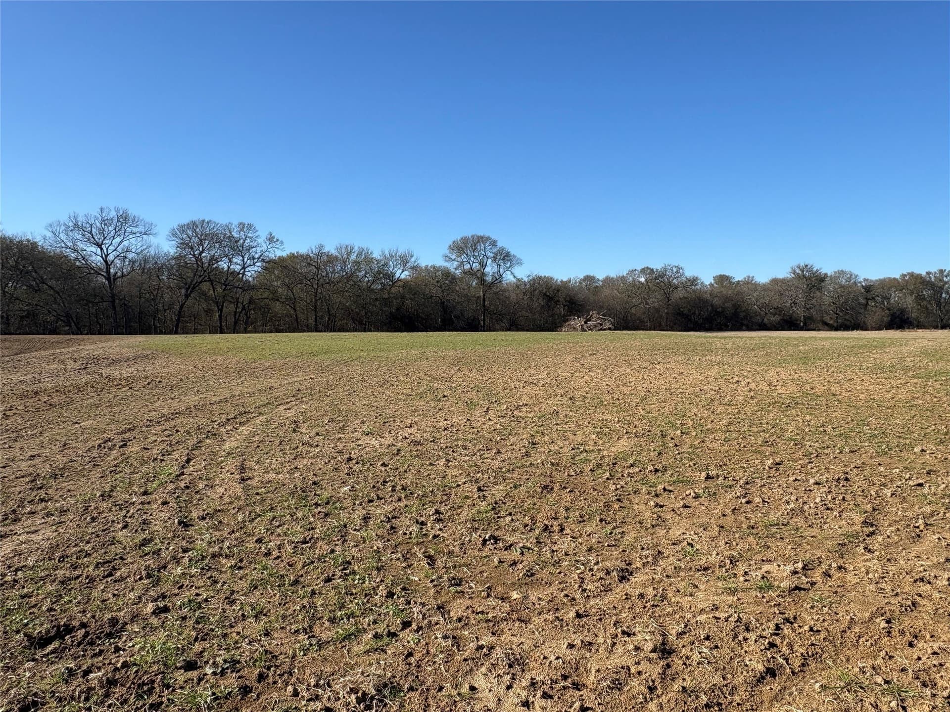 175 acres in Hopkins County - photo 32