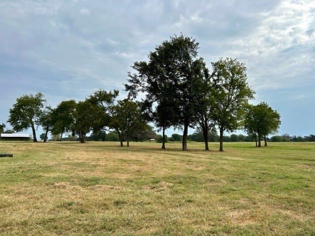 175 acres in Hopkins County - photo 7