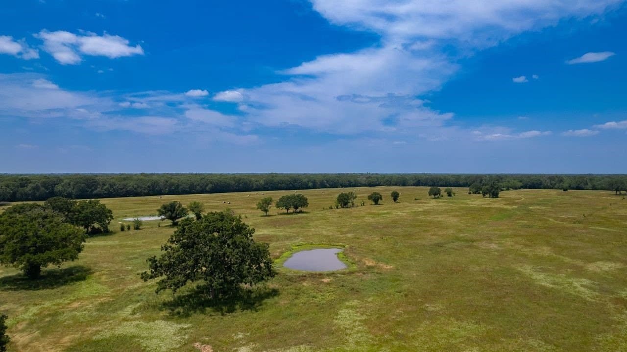 175 acres in Hopkins County - photo 3
