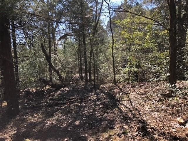 1 acres in Freestone County featured view