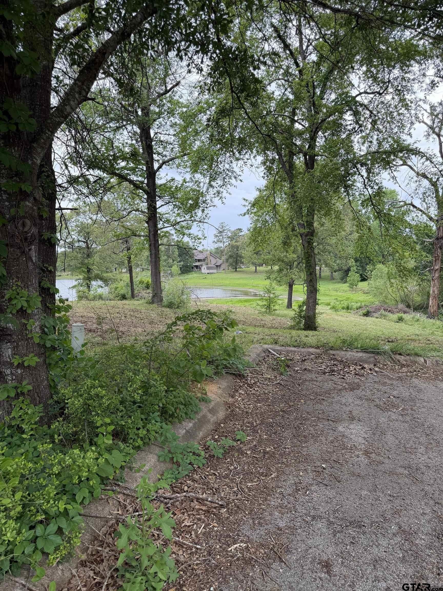 0.91 acres in Smith County - photo 7