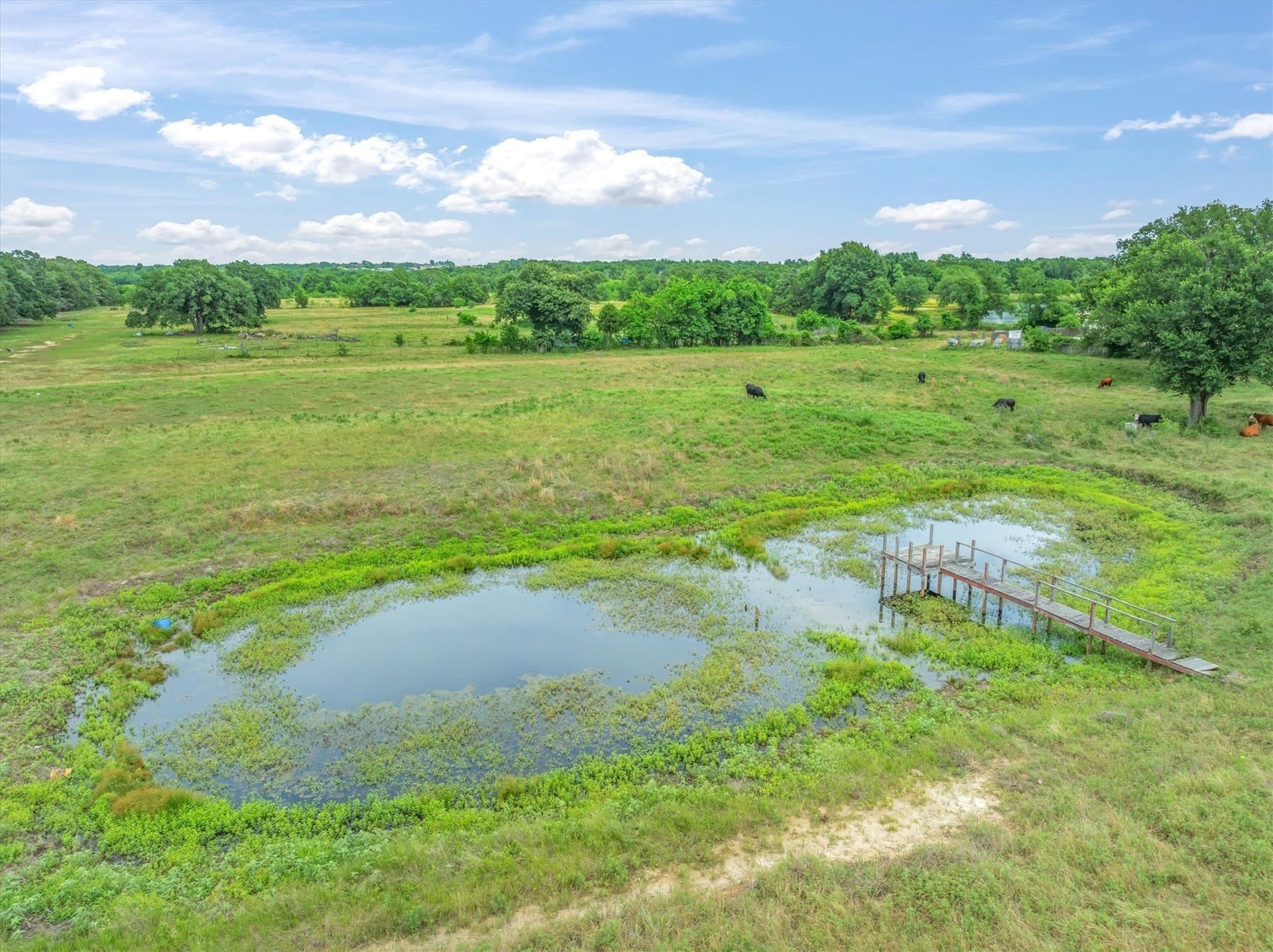 25 acres in Kaufman County - photo 15
