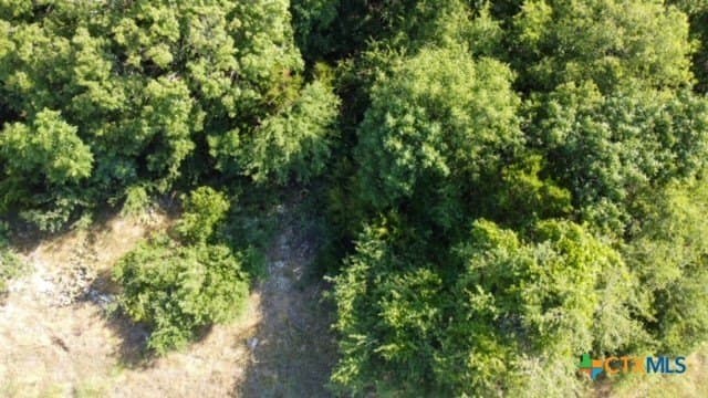 0.74 acres in Bell County gallery image 2