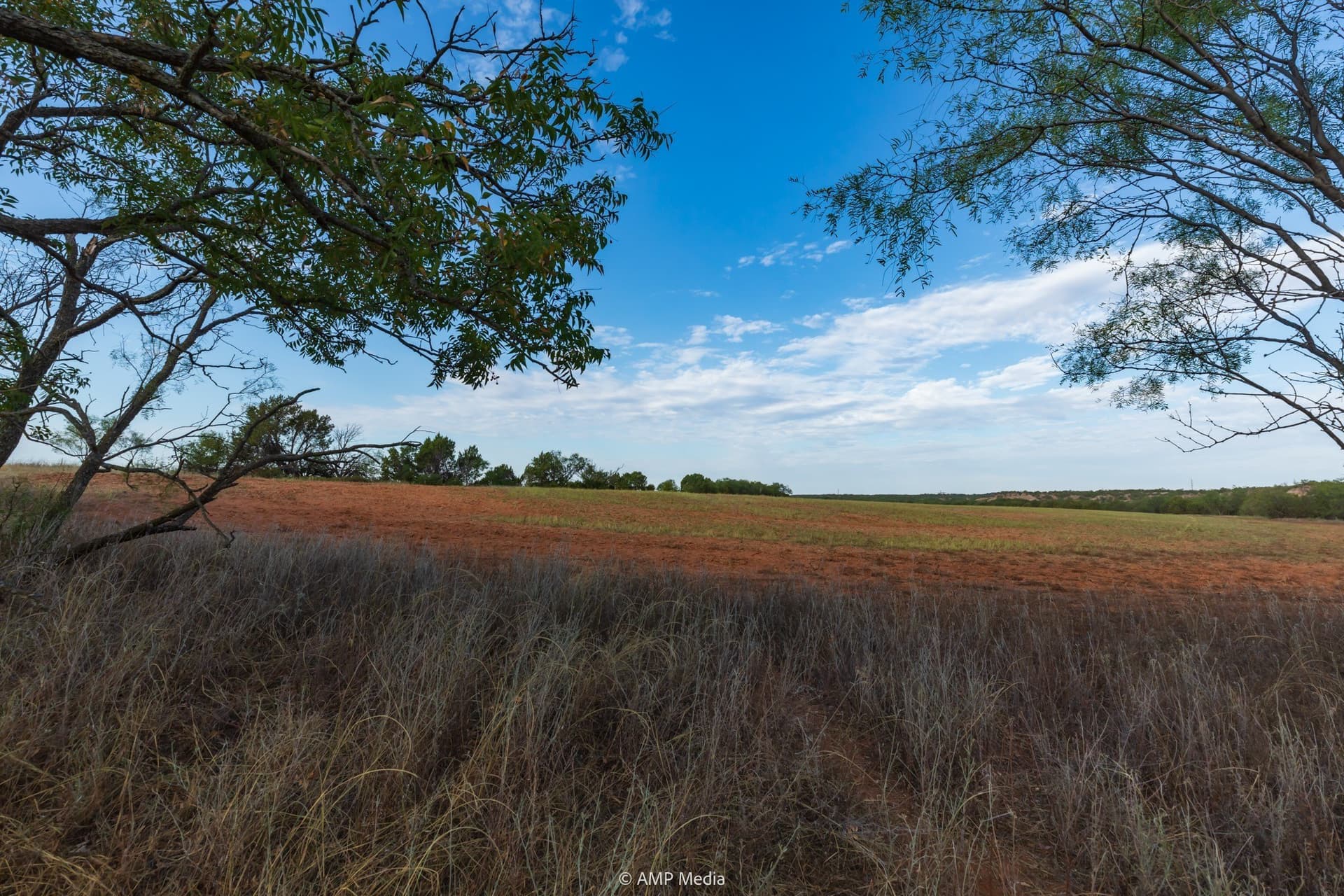 812.41 acres in Stonewall County - photo 22