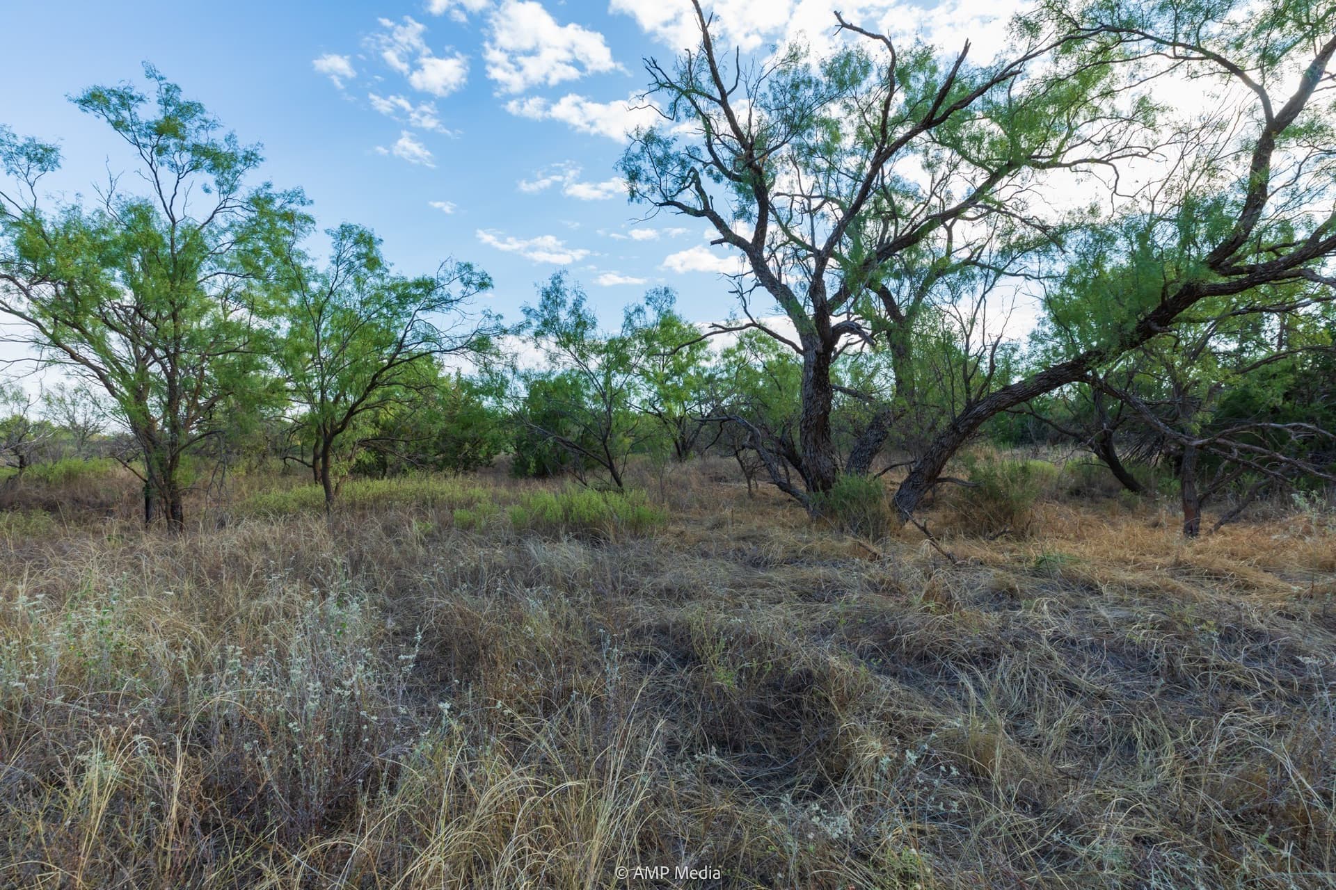 812.41 acres in Stonewall County - photo 28
