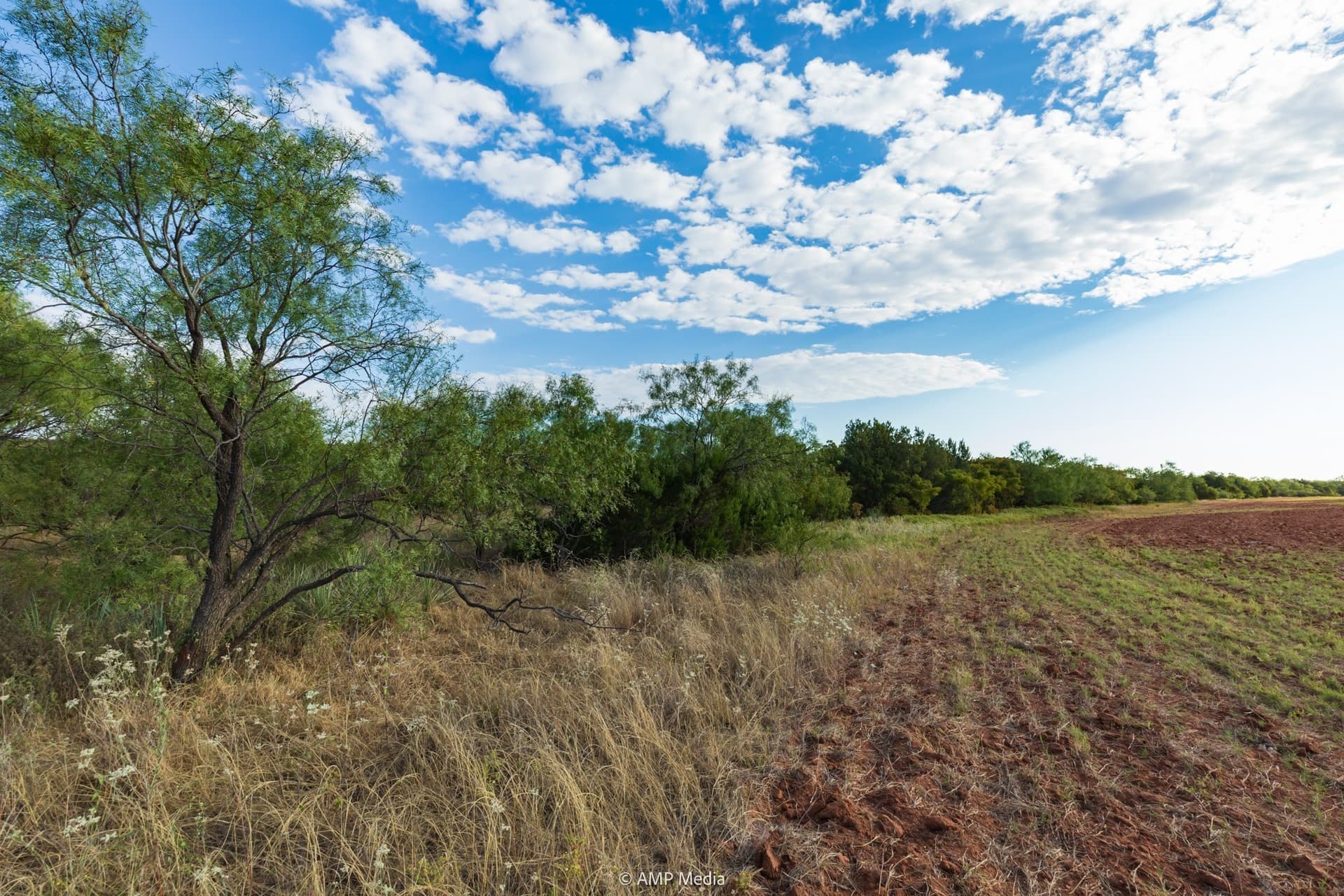 812.41 acres in Stonewall County - photo 21
