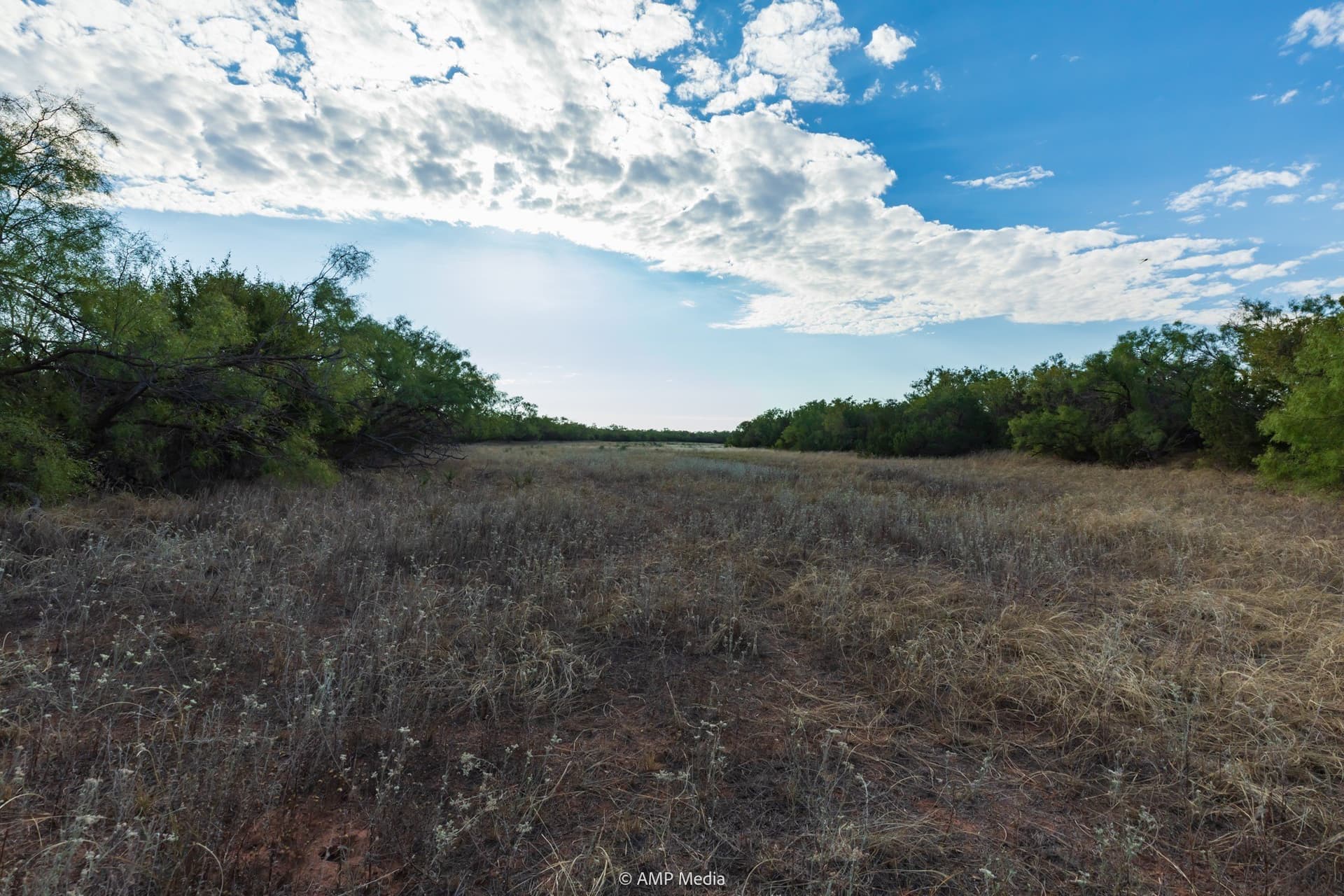 812.41 acres in Stonewall County - photo 26