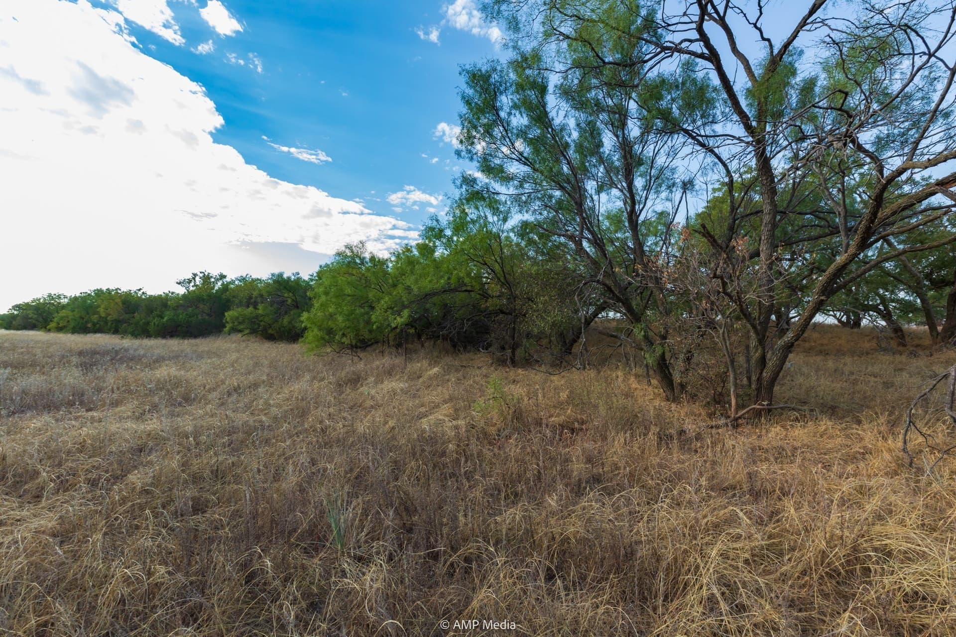 812.41 acres in Stonewall County - photo 25