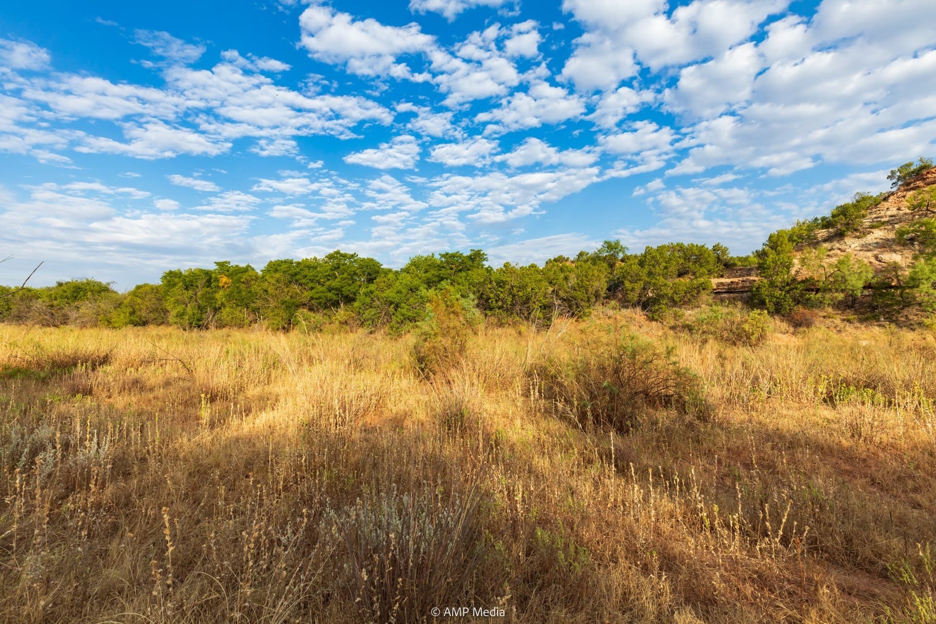812.41 acres in Stonewall County - photo 15