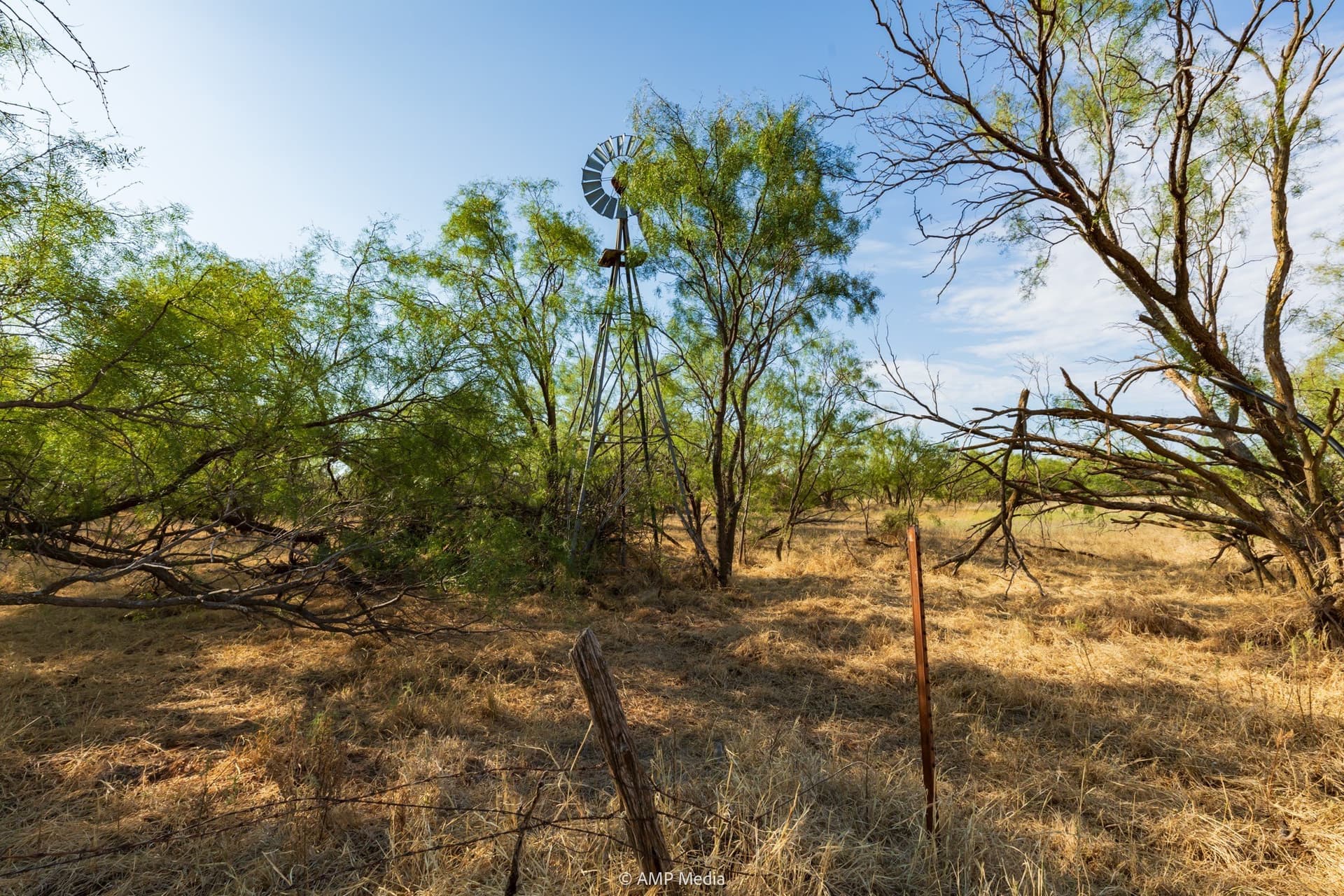 812.41 acres in Stonewall County - photo 40