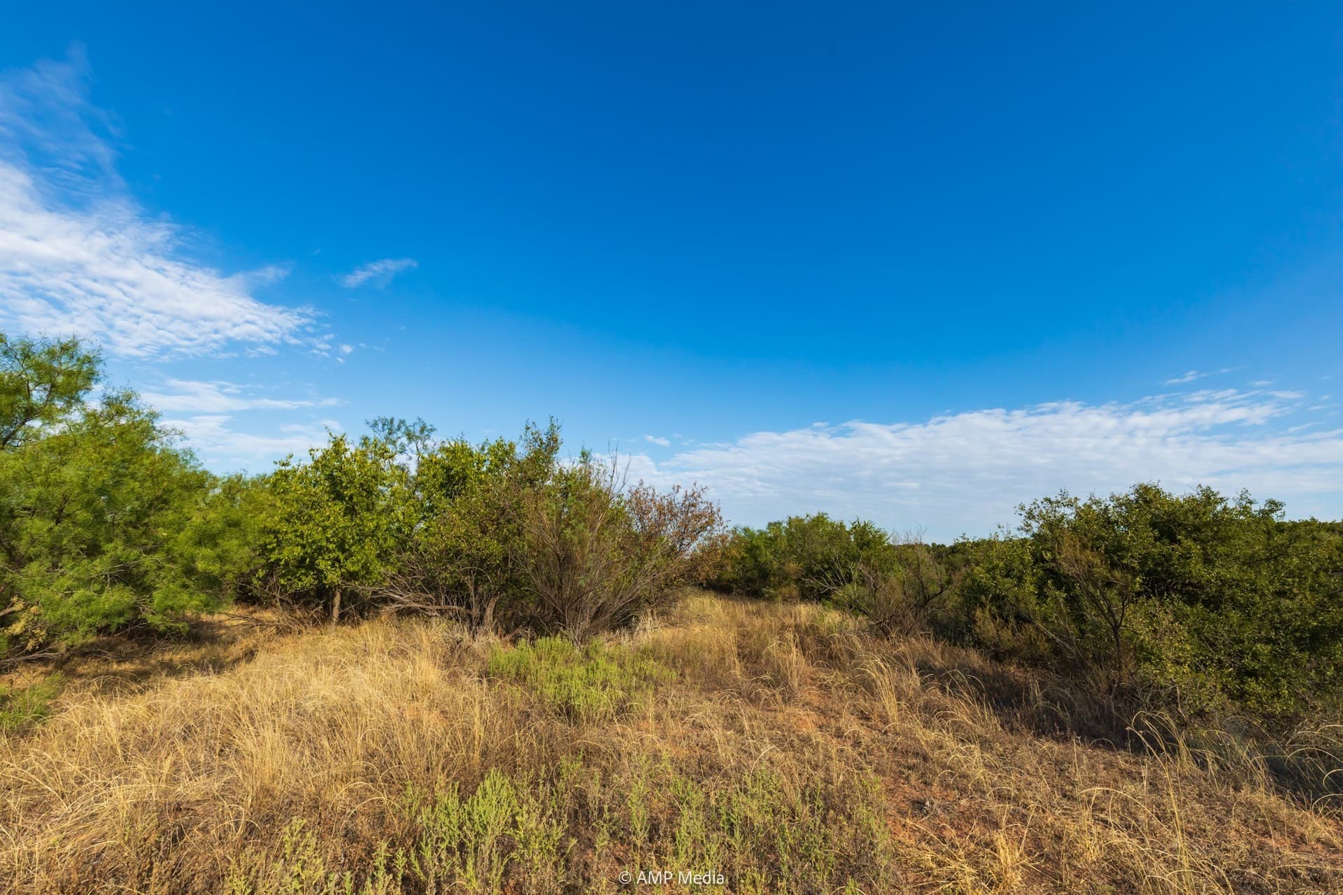 812.41 acres in Stonewall County - photo 35