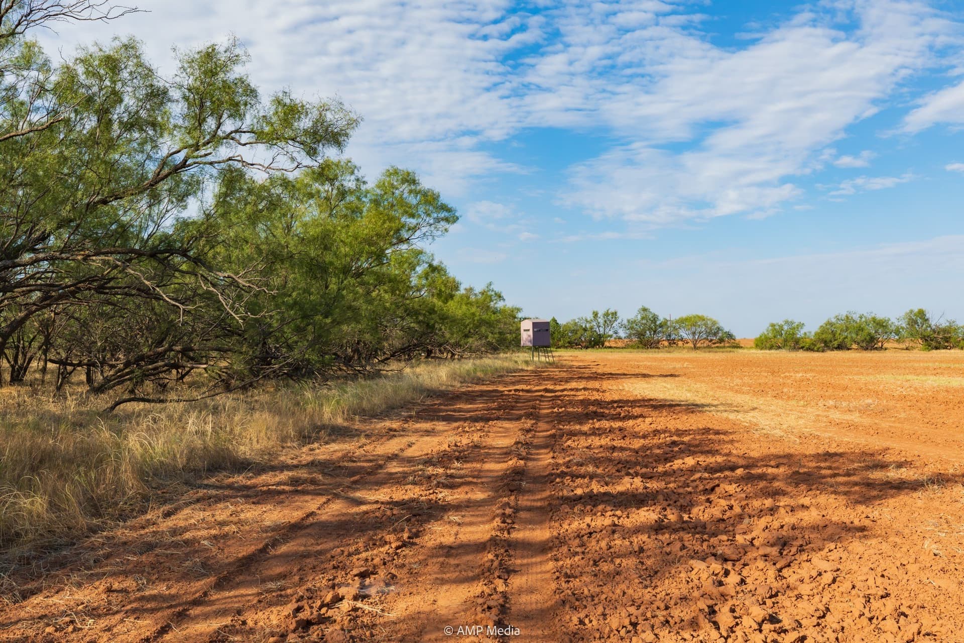 812.41 acres in Stonewall County - photo 39