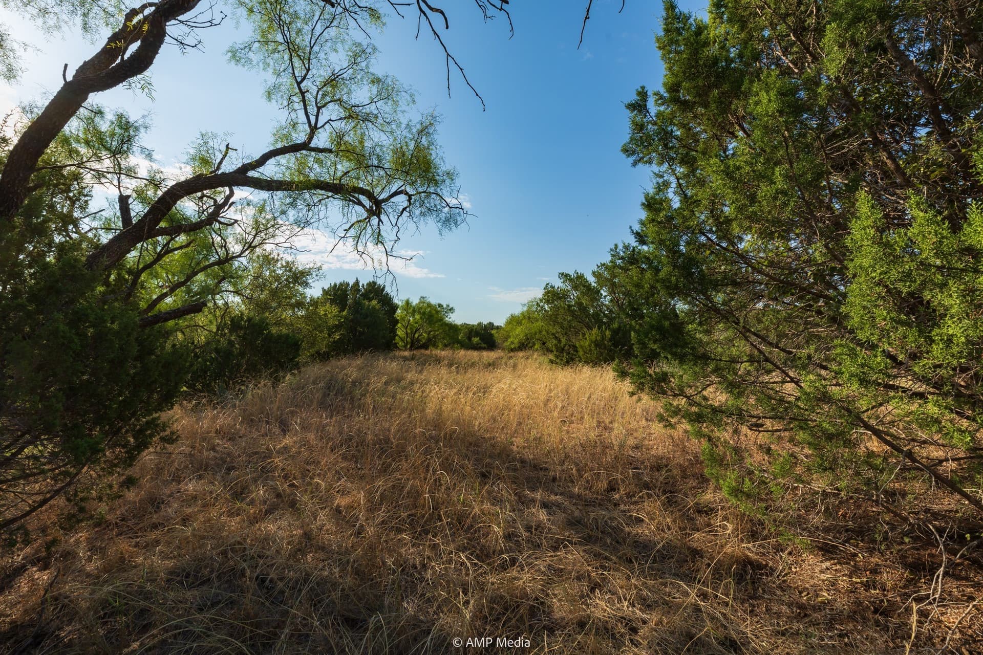 812.41 acres in Stonewall County - photo 36