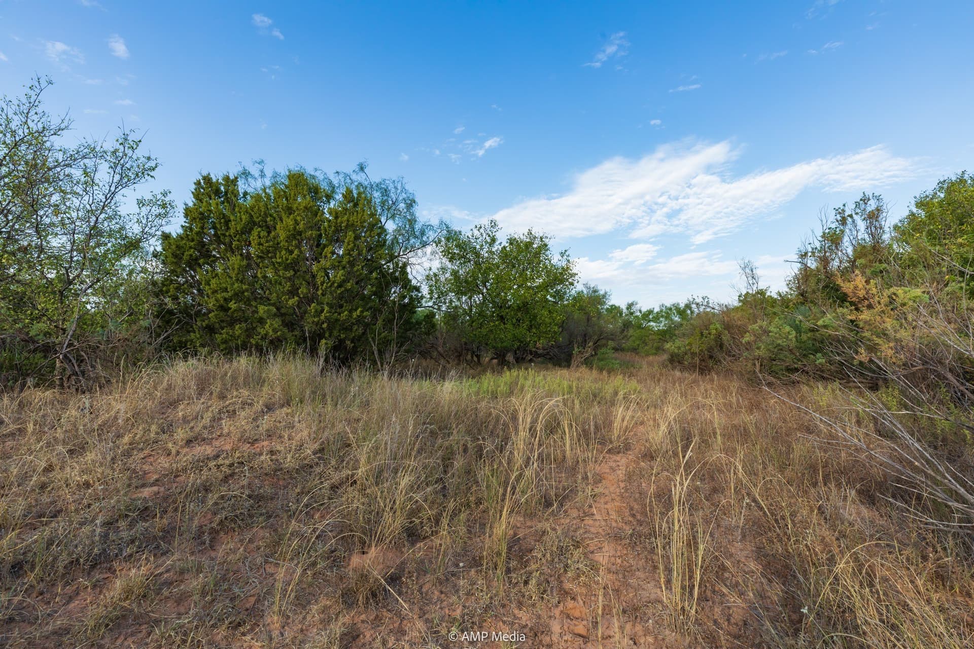 812.41 acres in Stonewall County - photo 29