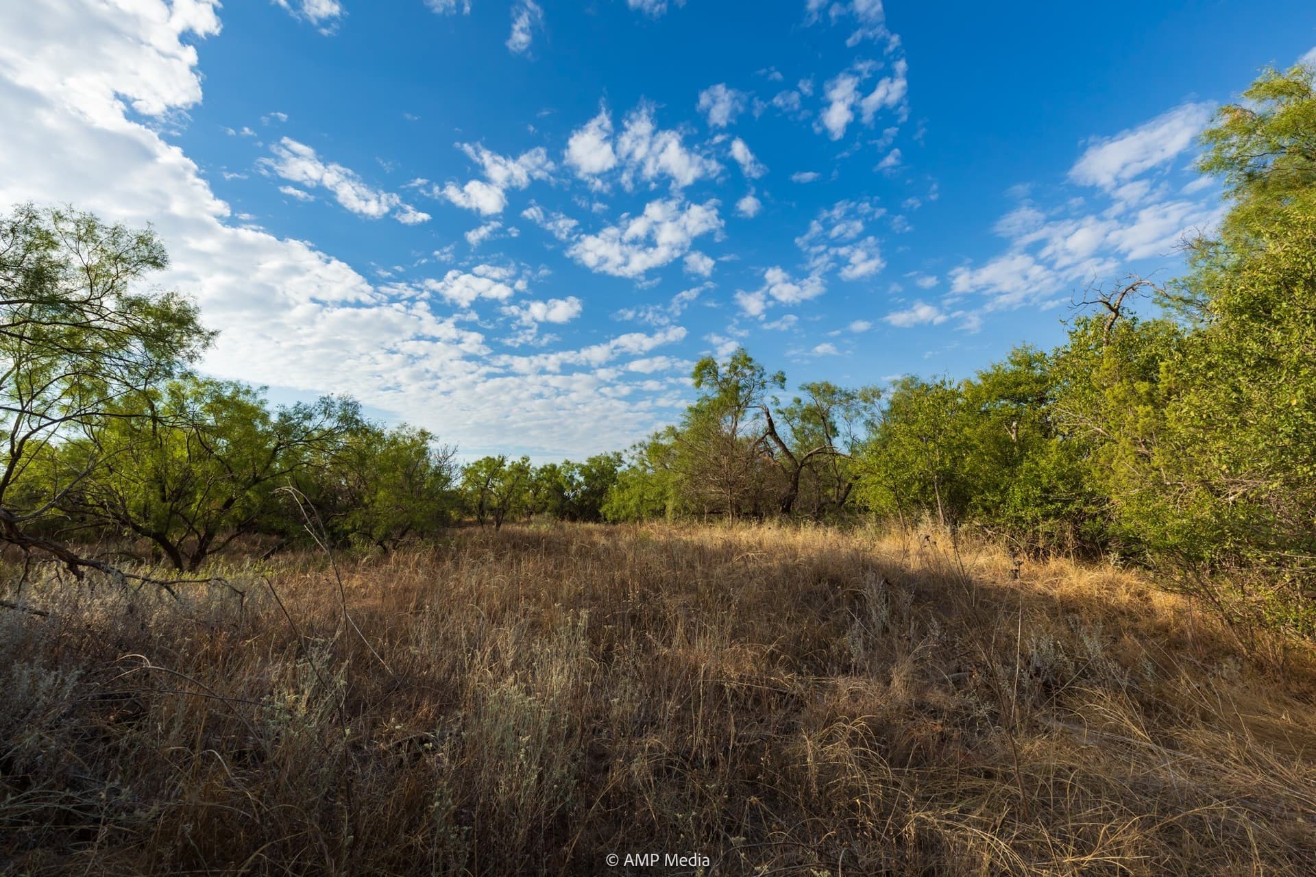 812.41 acres in Stonewall County - photo 20