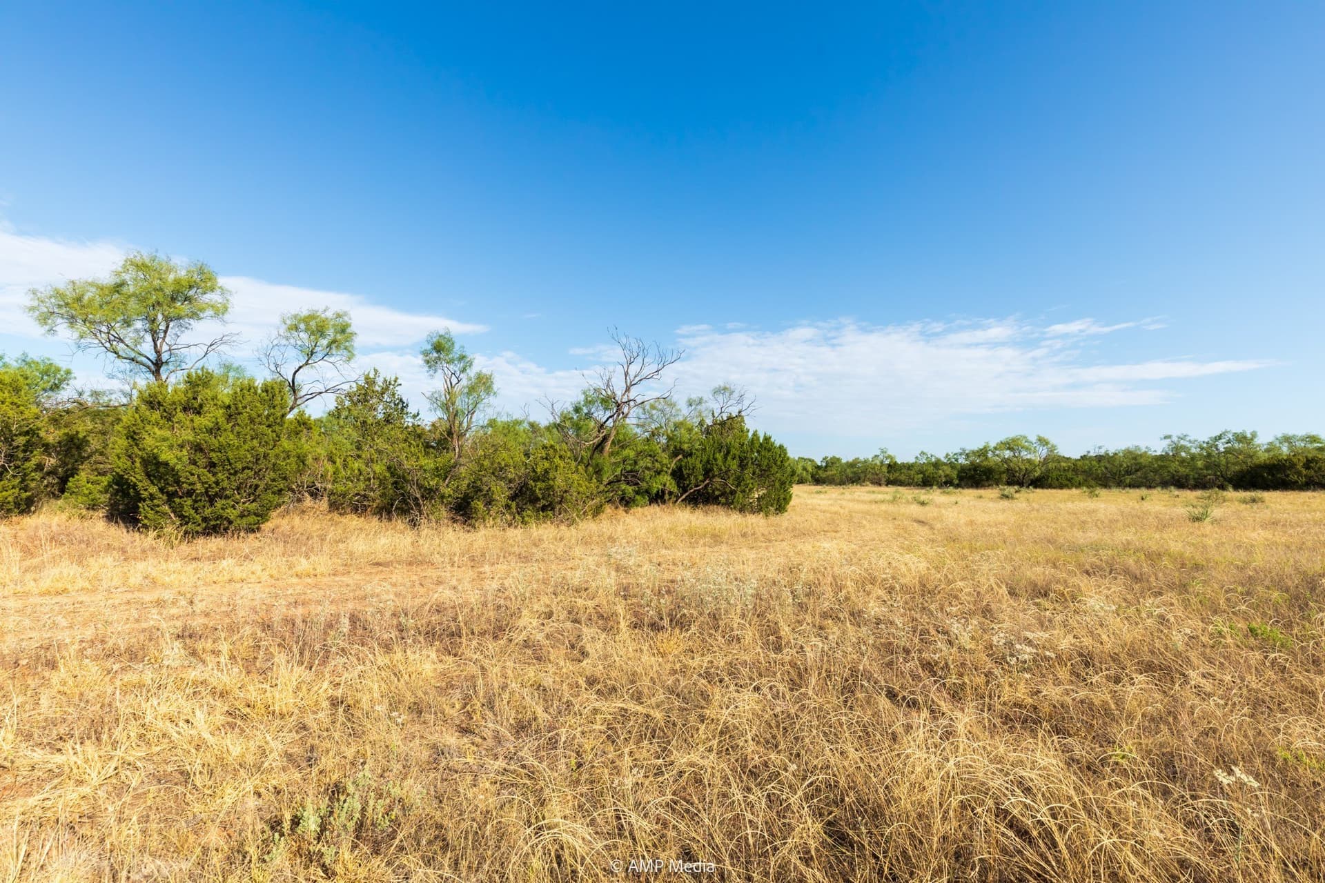 812.41 acres in Stonewall County - photo 38