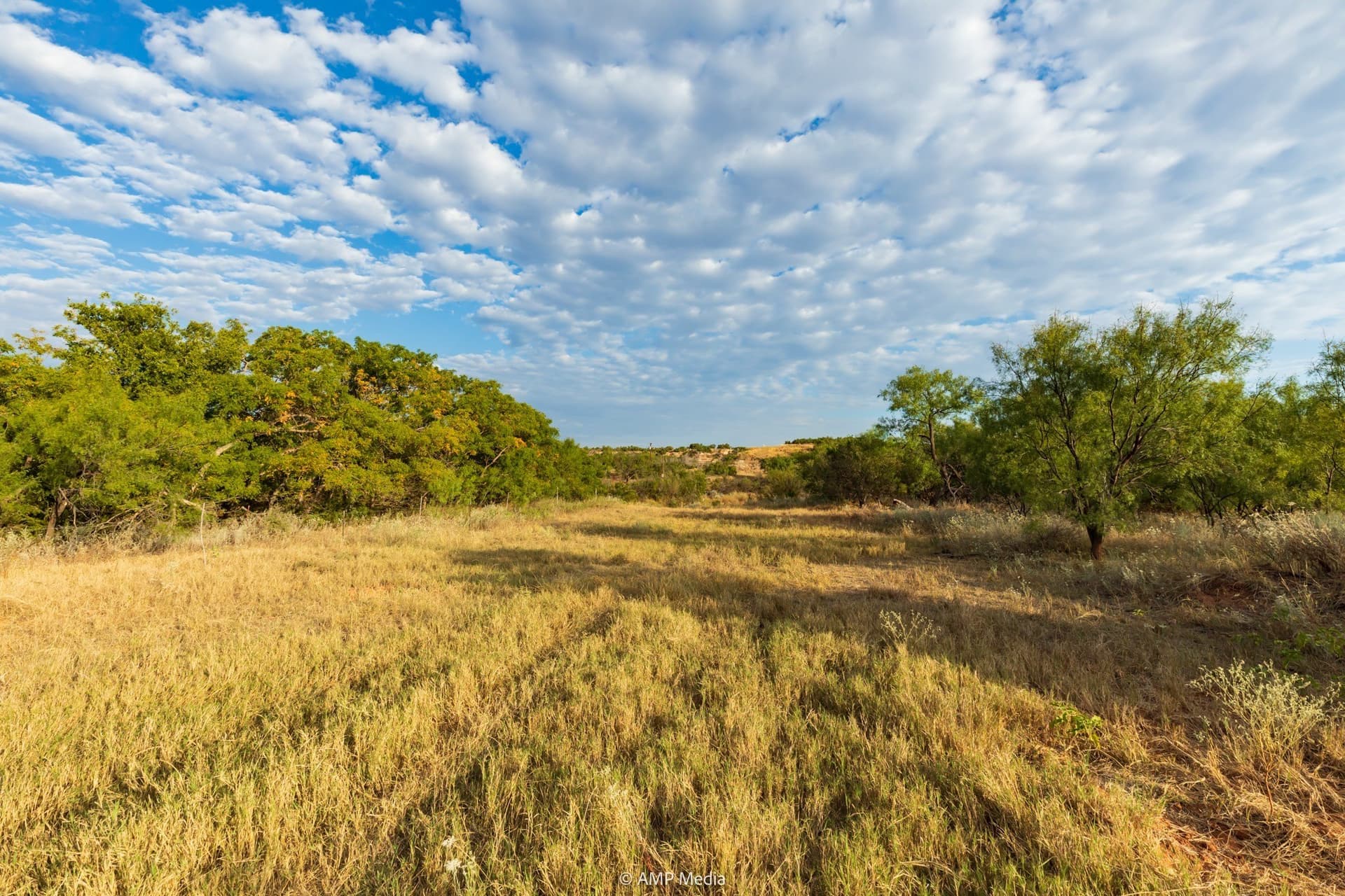812.41 acres in Stonewall County - photo 12