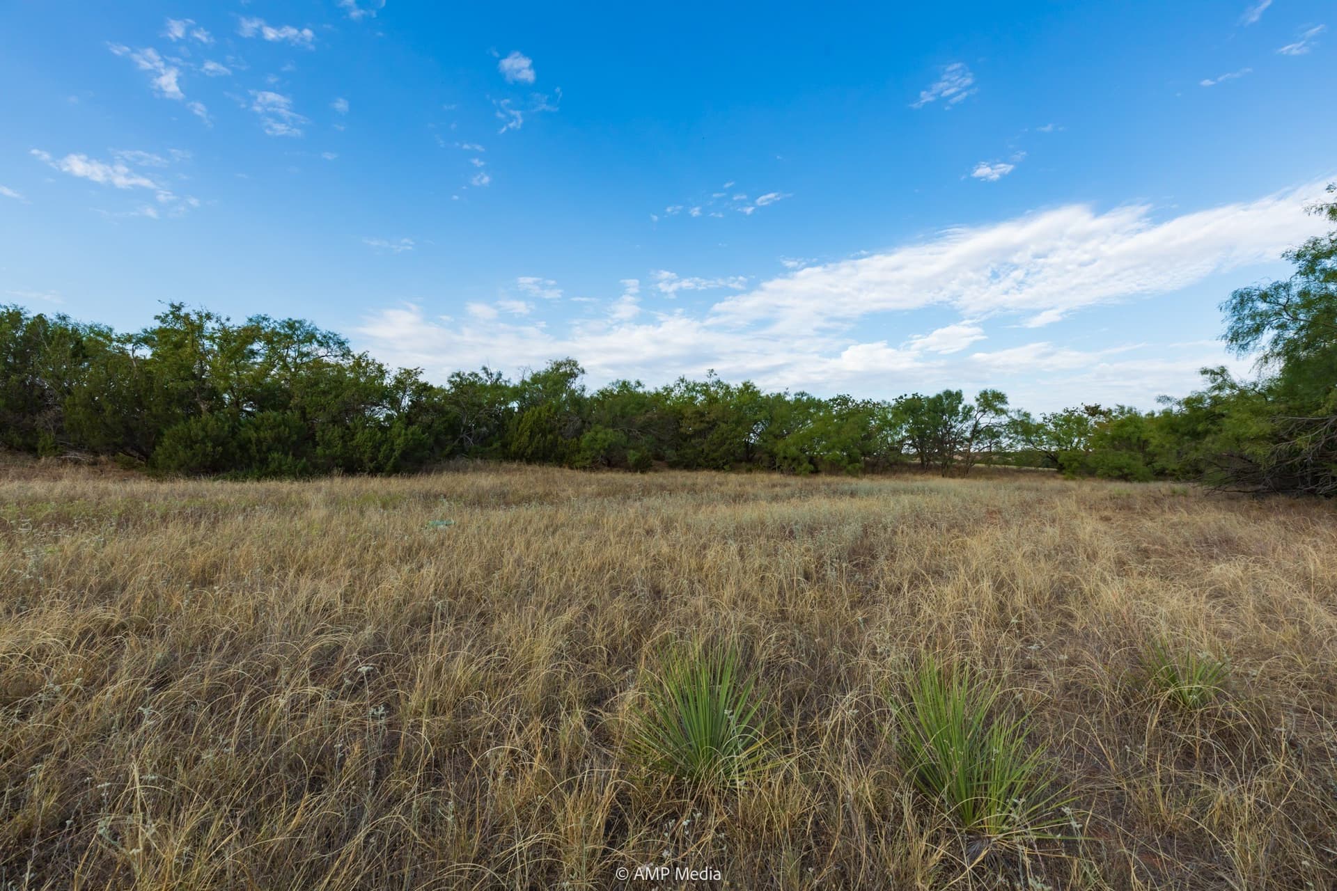 812.41 acres in Stonewall County - photo 10