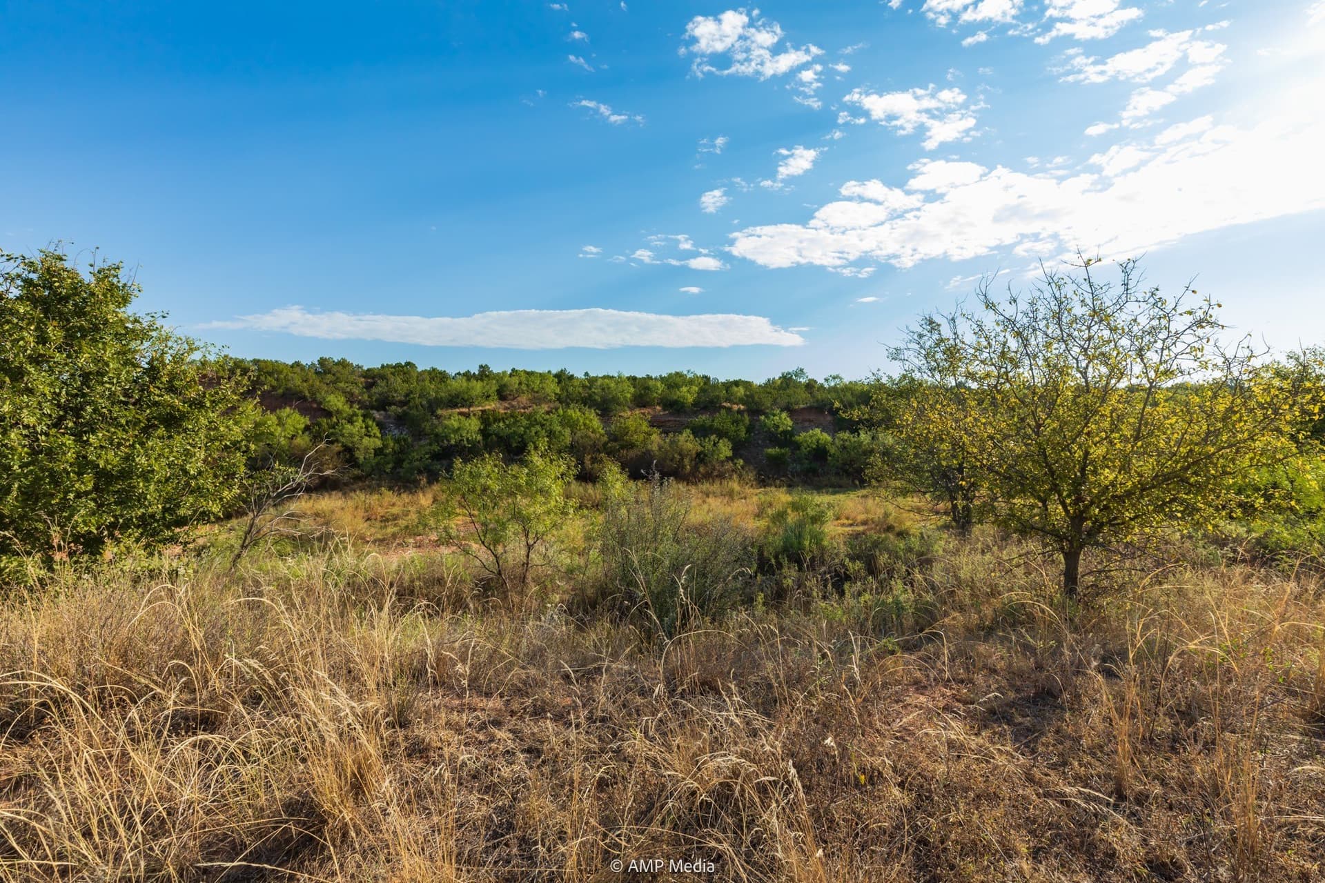 812.41 acres in Stonewall County - photo 34