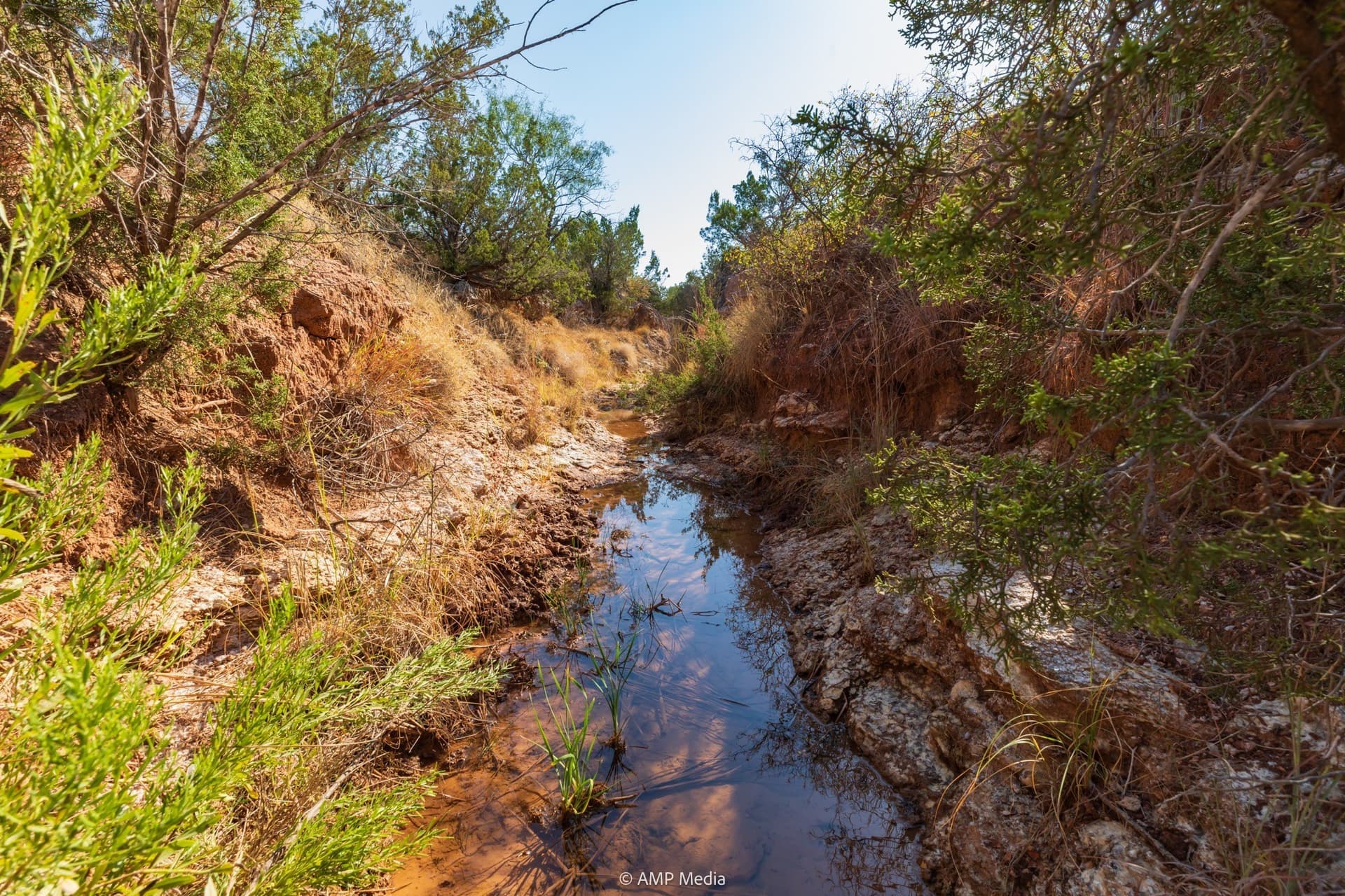 812.41 acres in Stonewall County - photo 24